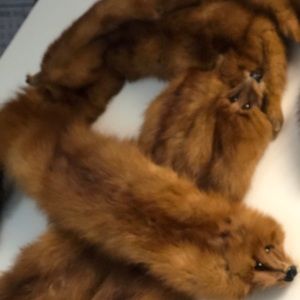 Vintage Mink Stole